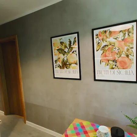 Mieszkanie Centrum * זקופאנה