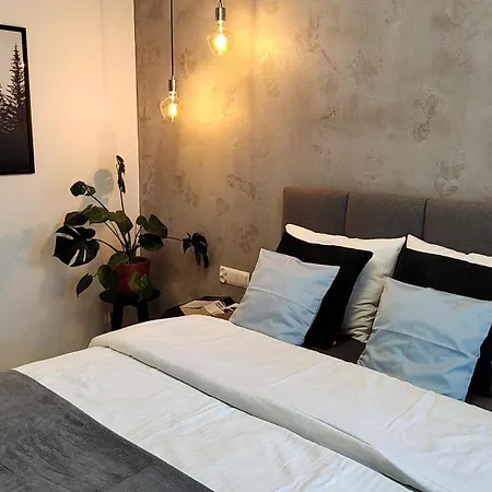 Mieszkanie Centrum זקופאנה