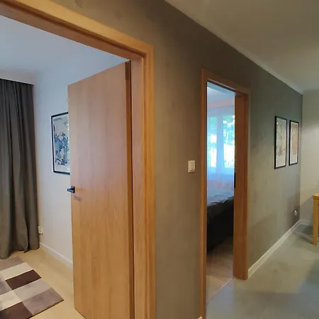 Mieszkanie Centrum זקופאנה