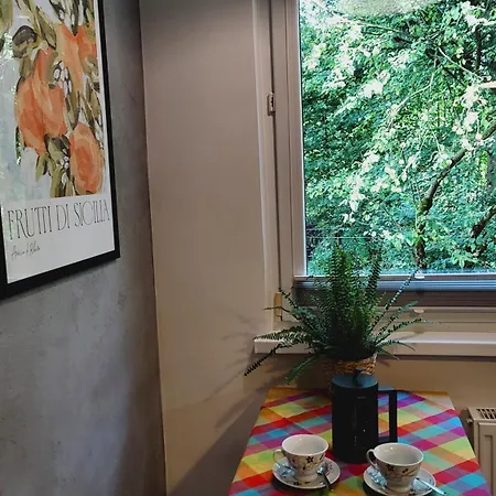 Mieszkanie Centrum זקופאנה