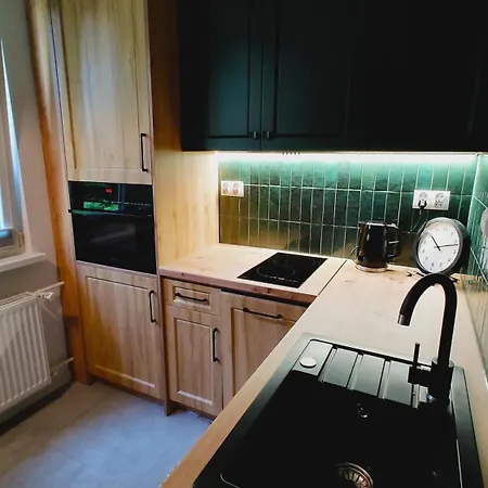 Mieszkanie Centrum Apartment Zakopane